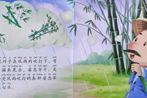 语言的传承与演变：成语背后的传统文化故事