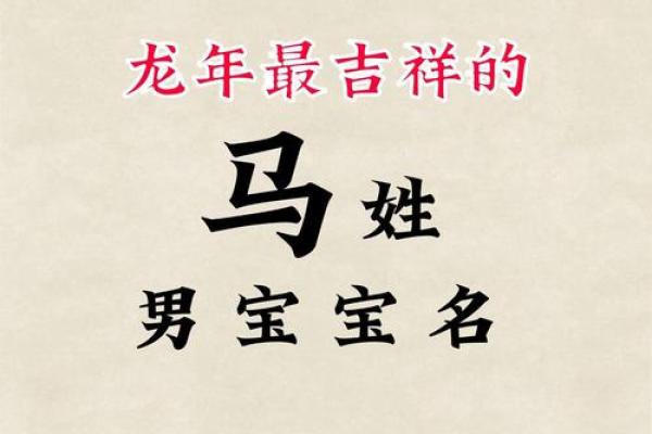 马家萌宝名选