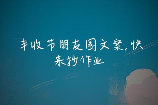 漫步法国乡村：邂逅独特的丰收节庆典