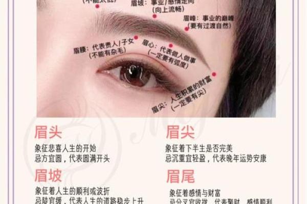 眉毛留疤对个人运势的风水解读