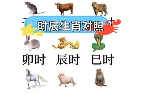解密午地支：与生肖、五行的深刻关系