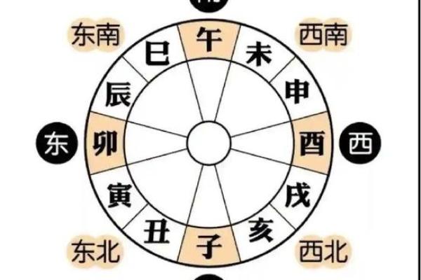 解密午地支：与生肖、五行的深刻关系