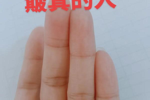 簸箕放置的风水影响及注意事项
