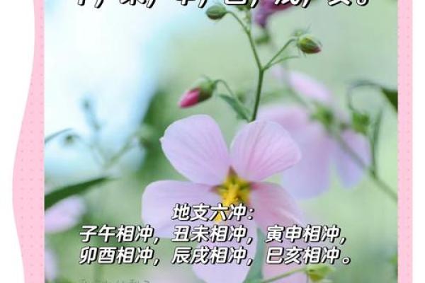 探秘地支酉的历史文化背景