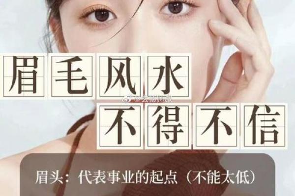 眉间藏富贵，眉形运势佳——揭秘眉毛背后的运势秘密！