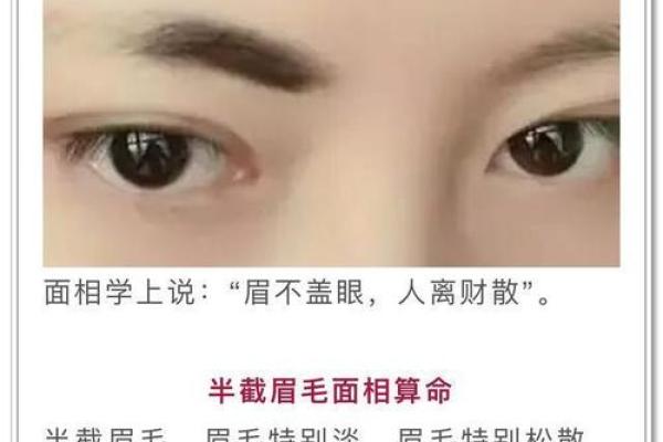 眉间藏富贵，眉形运势佳——揭秘眉毛背后的运势秘密！