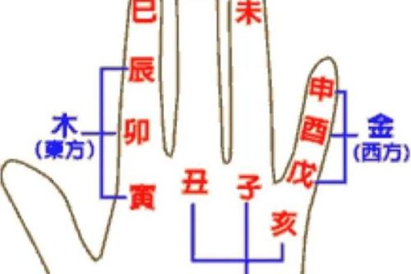 天罡地支掌：命运的指引者