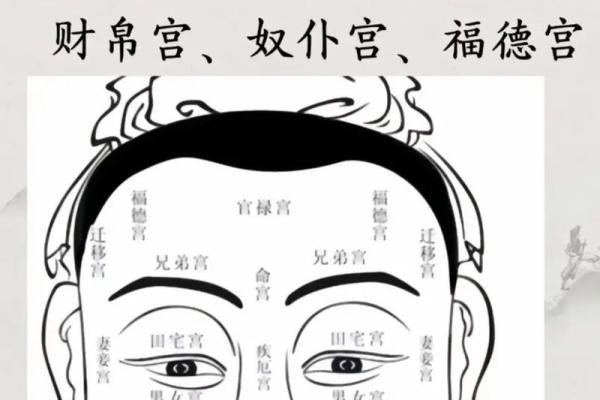 面相揭秘：鼻型决定命运，揭秘鼻子背后的秘密