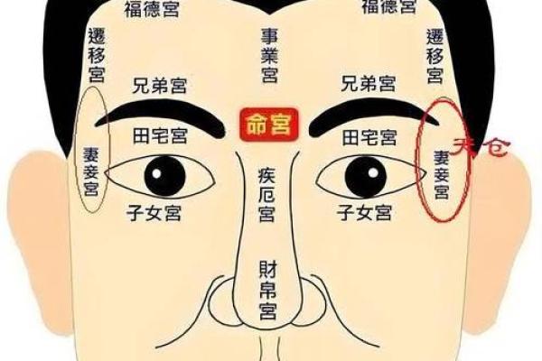 面相揭秘：鼻型决定命运，揭秘鼻子背后的秘密