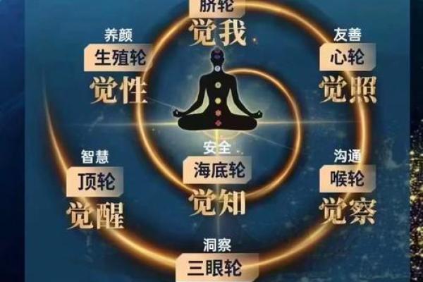 家居风水大揭秘：让家成为你的能量宝库