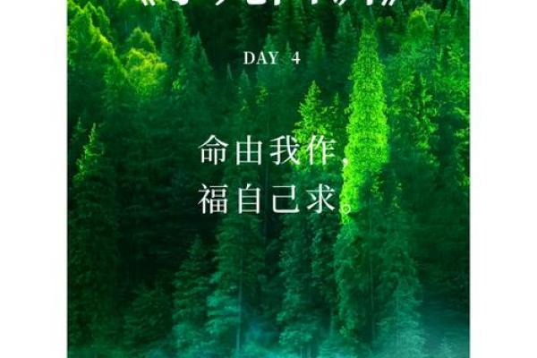 命运掌握在自己手中：揭秘如何通过命理改变命运！