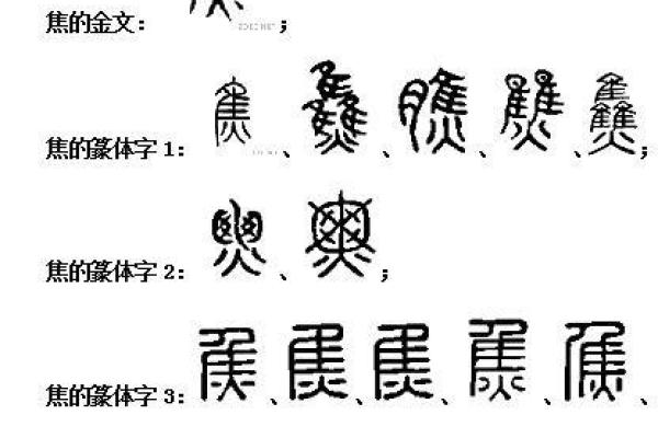焦文的名字与人生轨迹的深刻关联