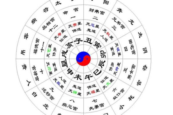 陈冠希八字命盘解析