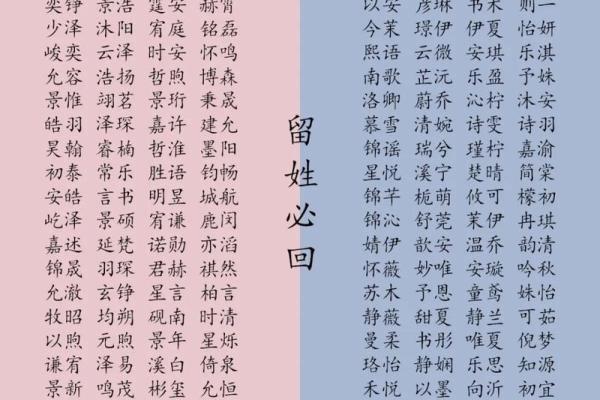 精选带子男孩名字，助力宝宝成才的独特寓意