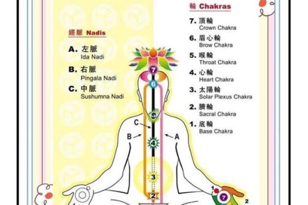 探索五行瑜伽的平衡与调和