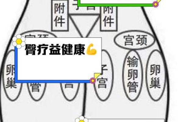 屁股上的痣相揭秘：女人命运的秘密武器！