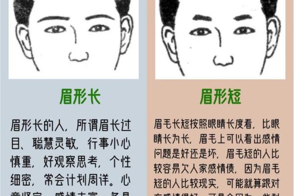 面相解析：眉眼间透露的运势秘密