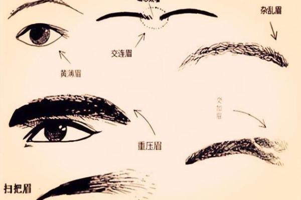 面相解析：眉眼间透露的运势秘密