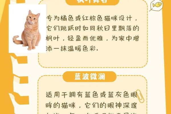 探索传统文化，如何为猫咪挑选一个富有历史感的名字