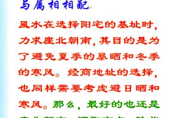 东北门商铺风水布局与生意兴旺的奥秘分析