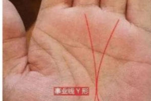 财运旺不旺？一招手相测试，让你财运亨通！