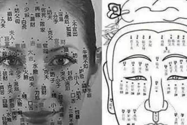 面相奥秘：痣藏牛马气，揭秘痣相中的运势秘密