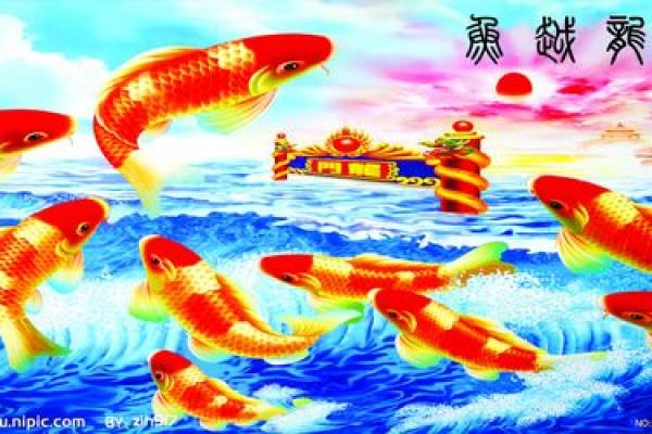 鱼塘风水摆设：财运滚滚，鱼跃龙门秘法大公开