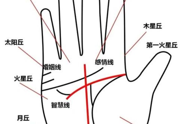 手中藏线索：警察手相解读大揭秘