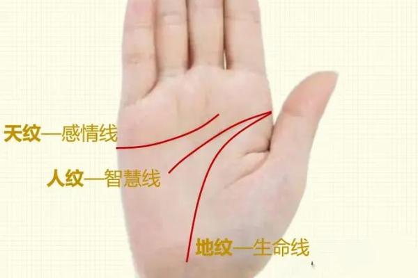 手中藏线索：警察手相解读大揭秘