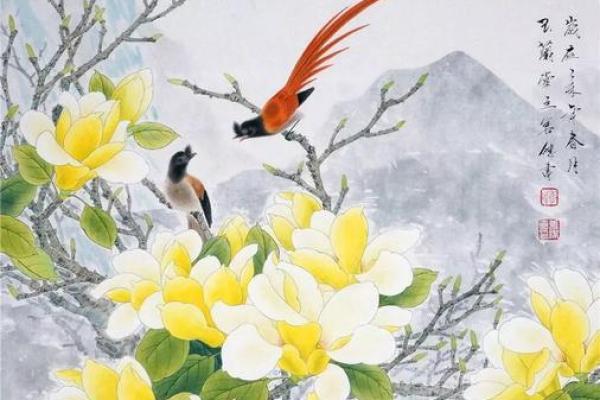 携琳入梦，诗意盎然的命名灵感