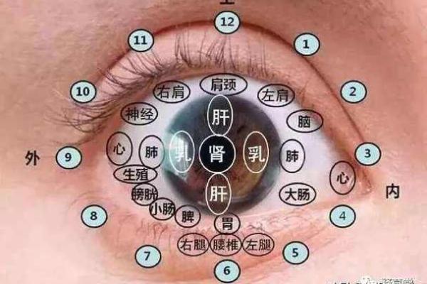 面相解析：赤脉现命，财运亨通，揭秘赤脉面相的秘密！