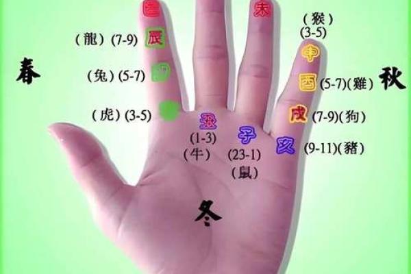 女神手相术：一掌之间，洞察未来运势