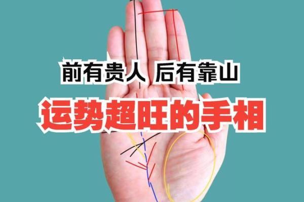 女神手相术：一掌之间，洞察未来运势