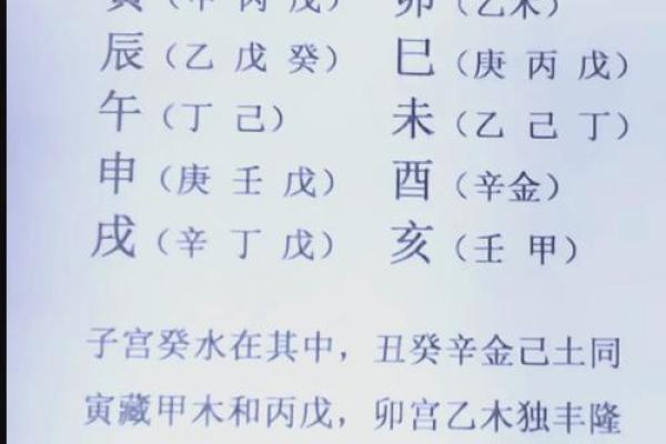 深入理解壬地支藏干在八字中的作用 深入理解壬地支藏干在八字中的作用