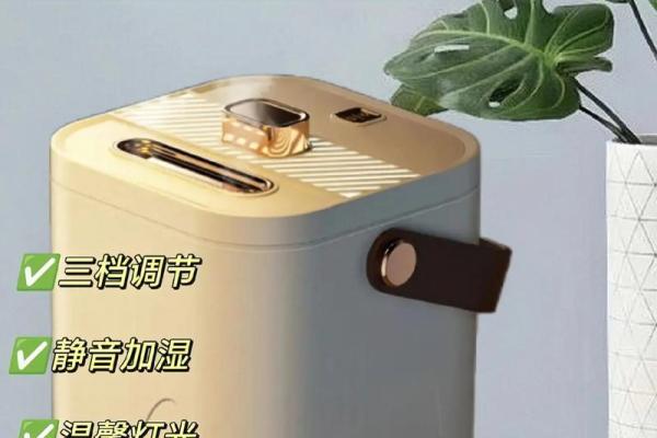 风水大师推荐，招财旺运加湿器神器