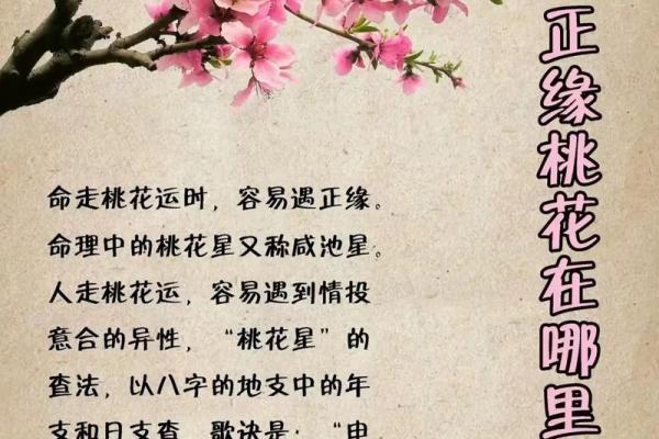 掌握人生运势：四柱命理正源实战指南