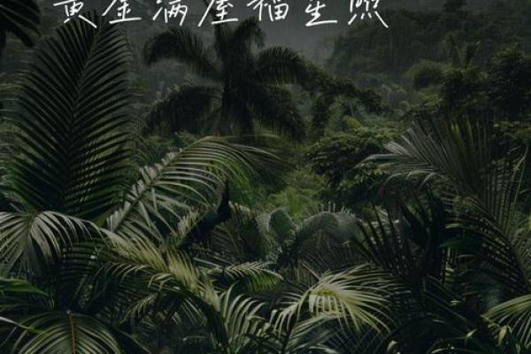 轻松学会！简易招财风水布置，轻松吸引财运！
