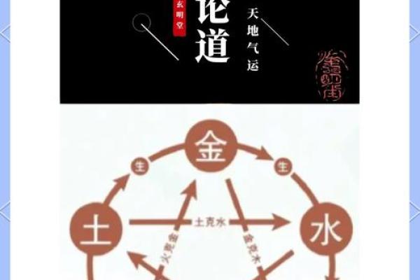 禅意指尖，揭秘生命奥秘