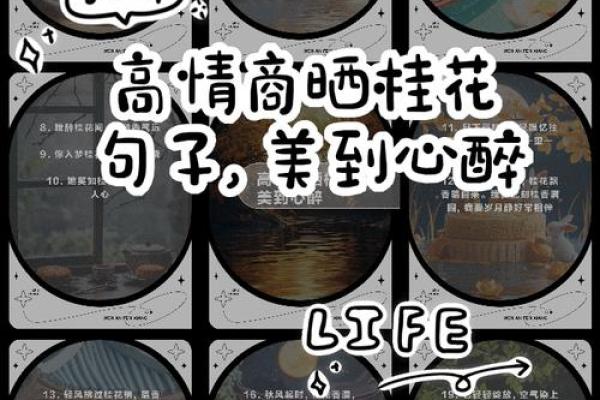 招桃花风水秘法，让你的爱情如梦似幻