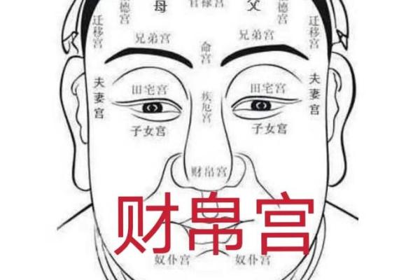 眉毛浓密预示好运：揭秘面相中的眉宇之变
