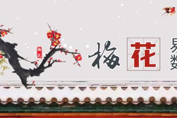 梅花风水，打造温馨家居秘籍