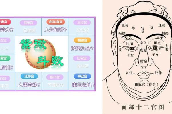 面相识人心：揭秘面相中的命运密码
