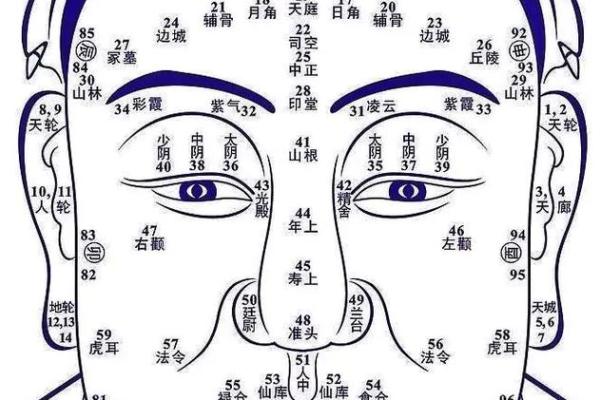 痣相面相大公开：揭秘面部特征背后的神奇命运！