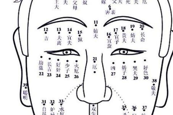 痣相面相大公开：揭秘面部特征背后的神奇命运！