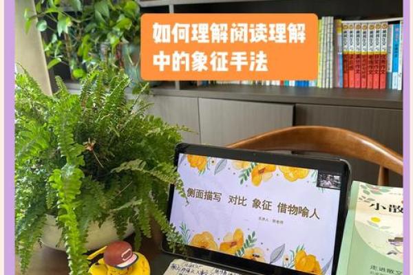 如何理解佳晨这个名字的象征意义