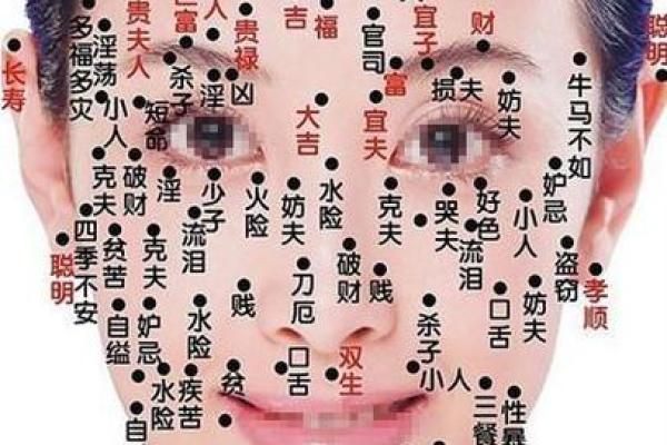 脸上痣相解码：揭秘命运的秘密符号