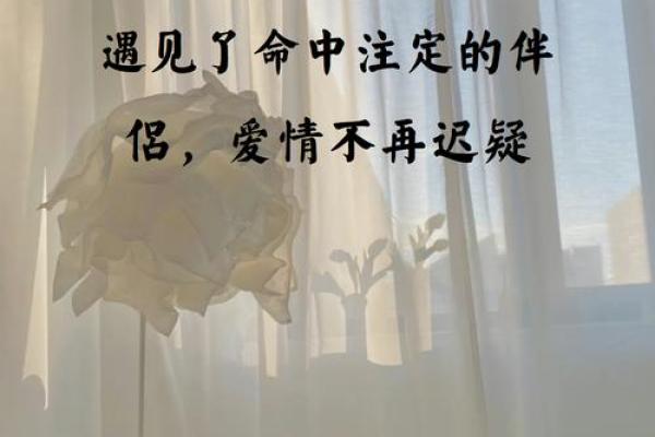 遇见命中注定的他，相亲中的爱情风水秘籍
