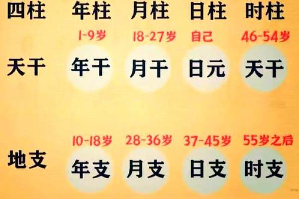 如何准确进行生日生辰八字查询