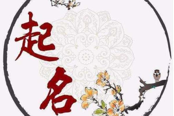 姓名之谜，翰林寻踿