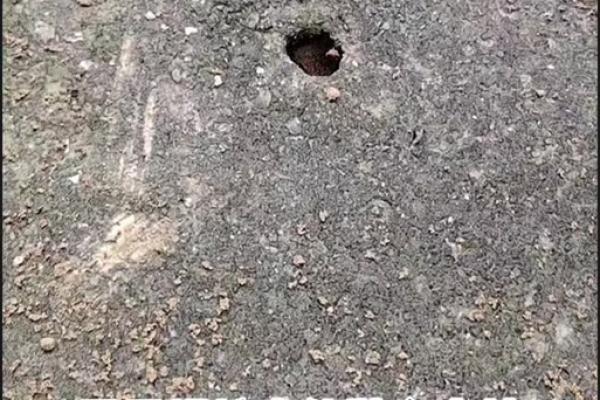 泥土里蚂蚁密布，住宅风水吉凶揭秘
